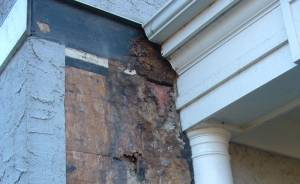 stucco-rot-mold